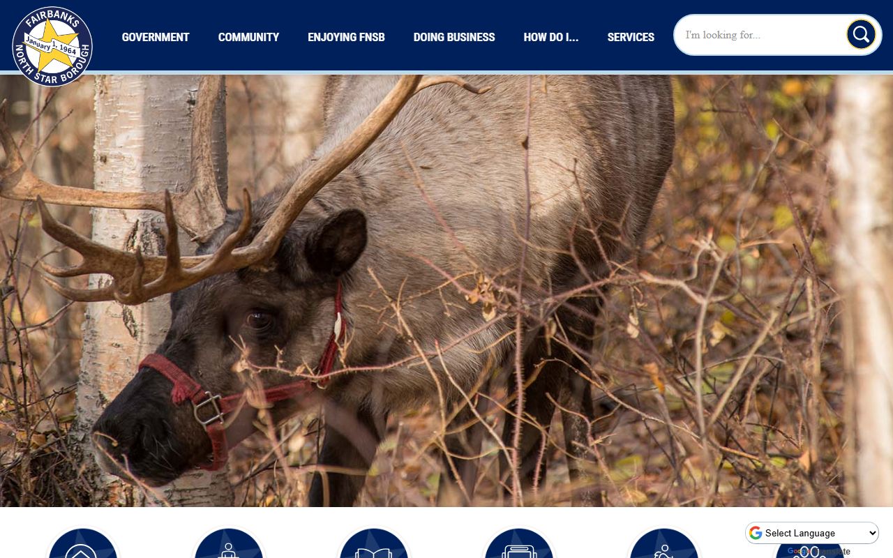 Fairbanks North Star Borough website with resources relevant to family court records